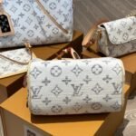 Louis Vuitton Speedy Bandoulière 20 Multicolor Beige 20Cm M24709 - Image 6