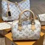 Louis Vuitton Speedy Bandoulière 20 Multicolor Beige 20Cm M24709 - Image 4