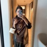 Louis Vuitton Reykjavik Scarf Dark Brown M78125 - Image 4
