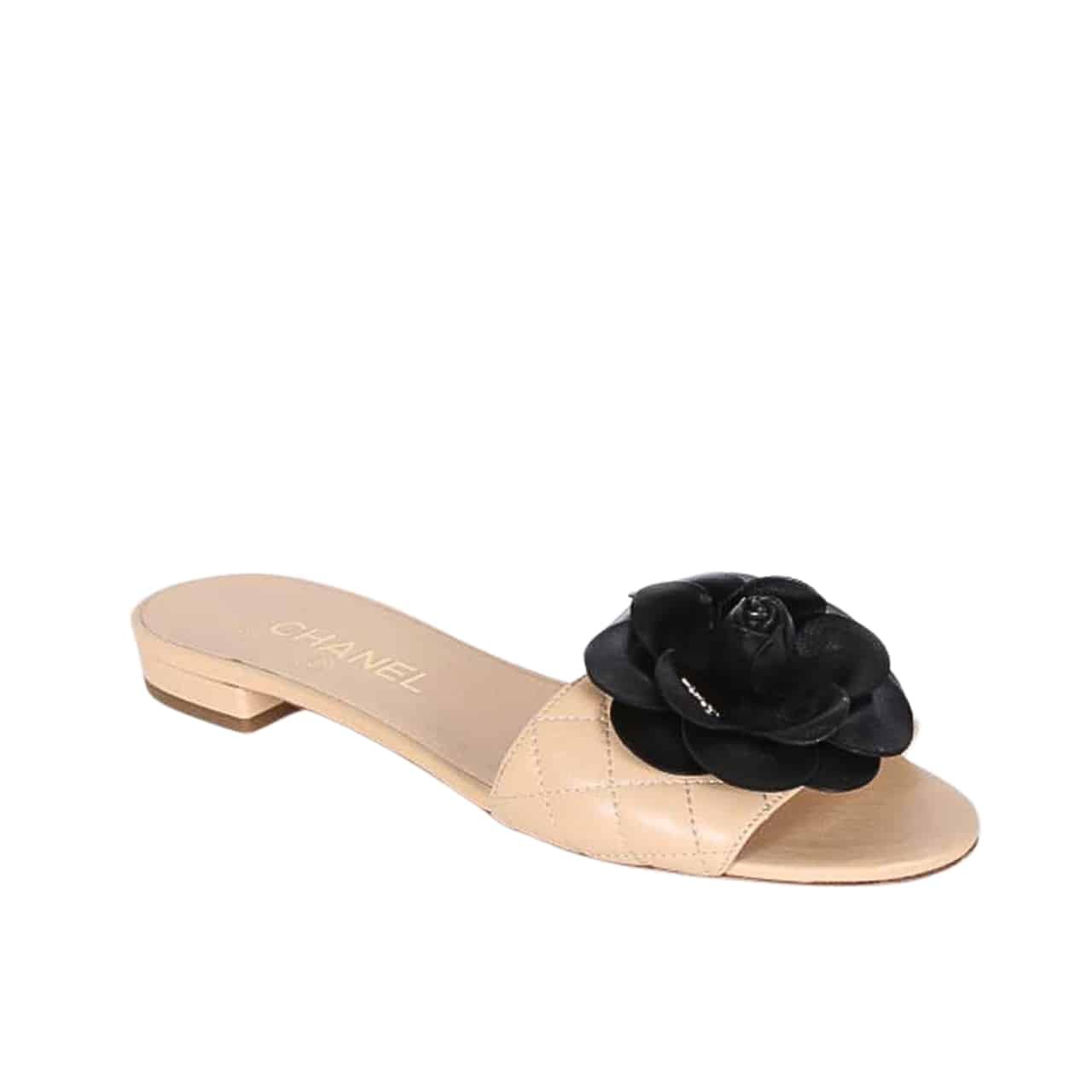 35 EU - 4 US (23 Cm - 9 In)